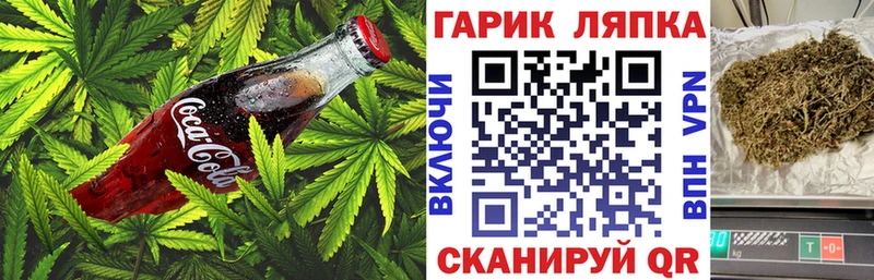 Cannafood конопля  где найти   Суровикино 