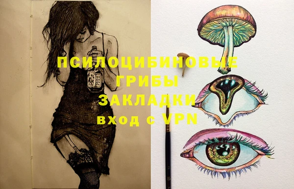 крисы Алексеевка