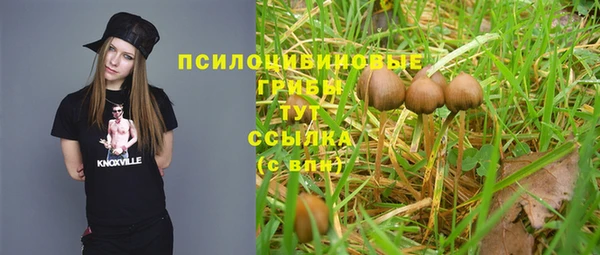 крисы Алексеевка