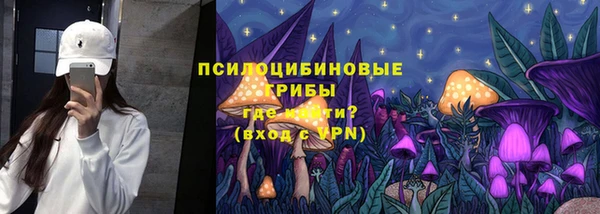 ешки Алзамай