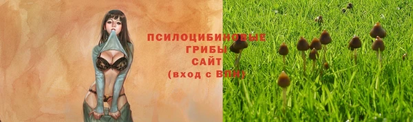 крисы Алексеевка
