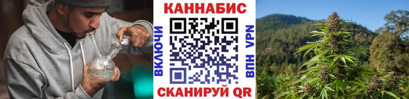 Бошки марихуана VHQ Суровикино